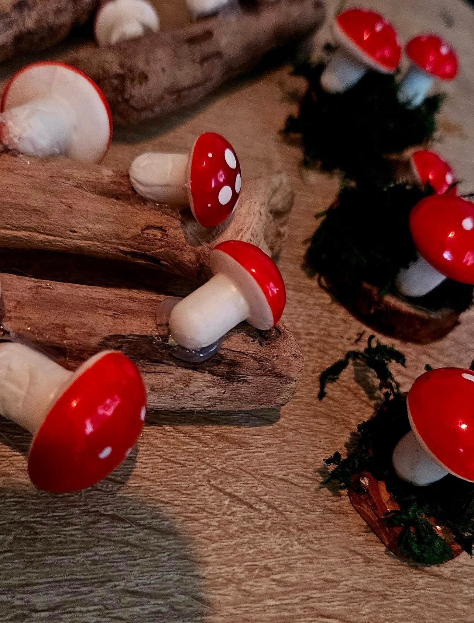 Toadstools Decoration