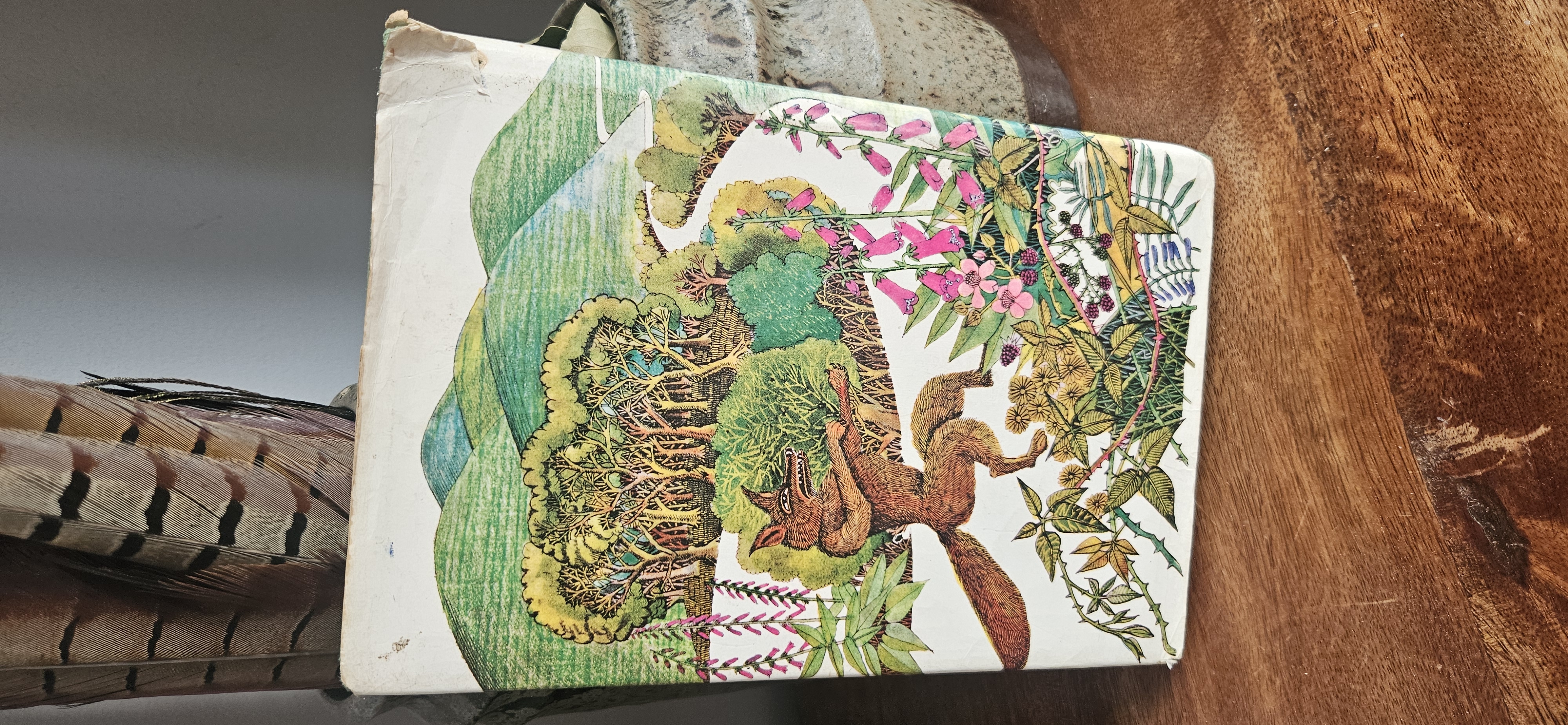 The Adventures of Brer Rabbit (Jackanory Story Books) 1972