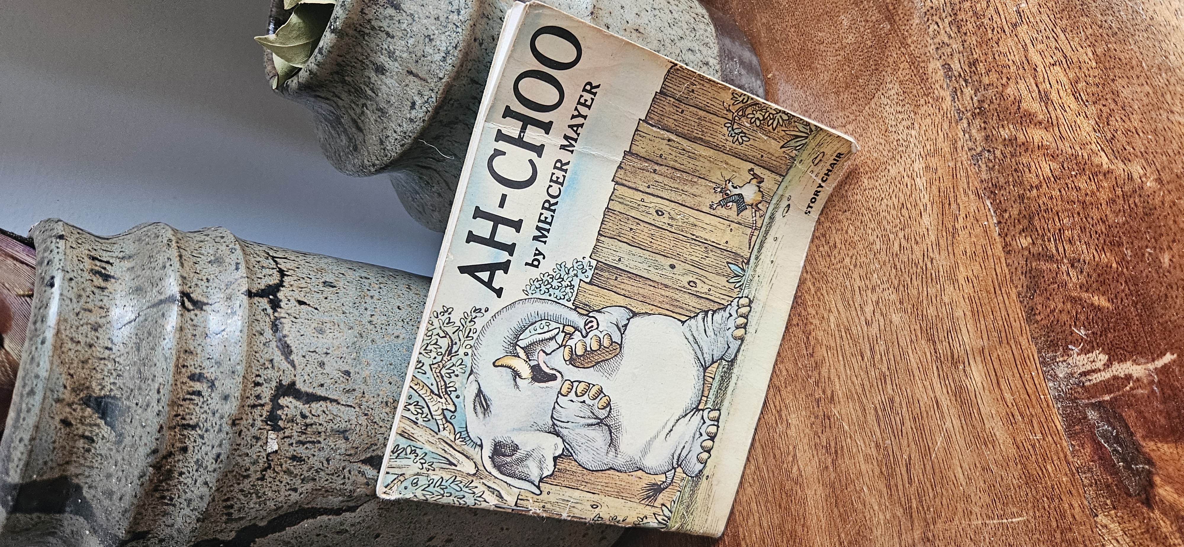 Ah-Choo by Mercura Mayer Picture Book 1980