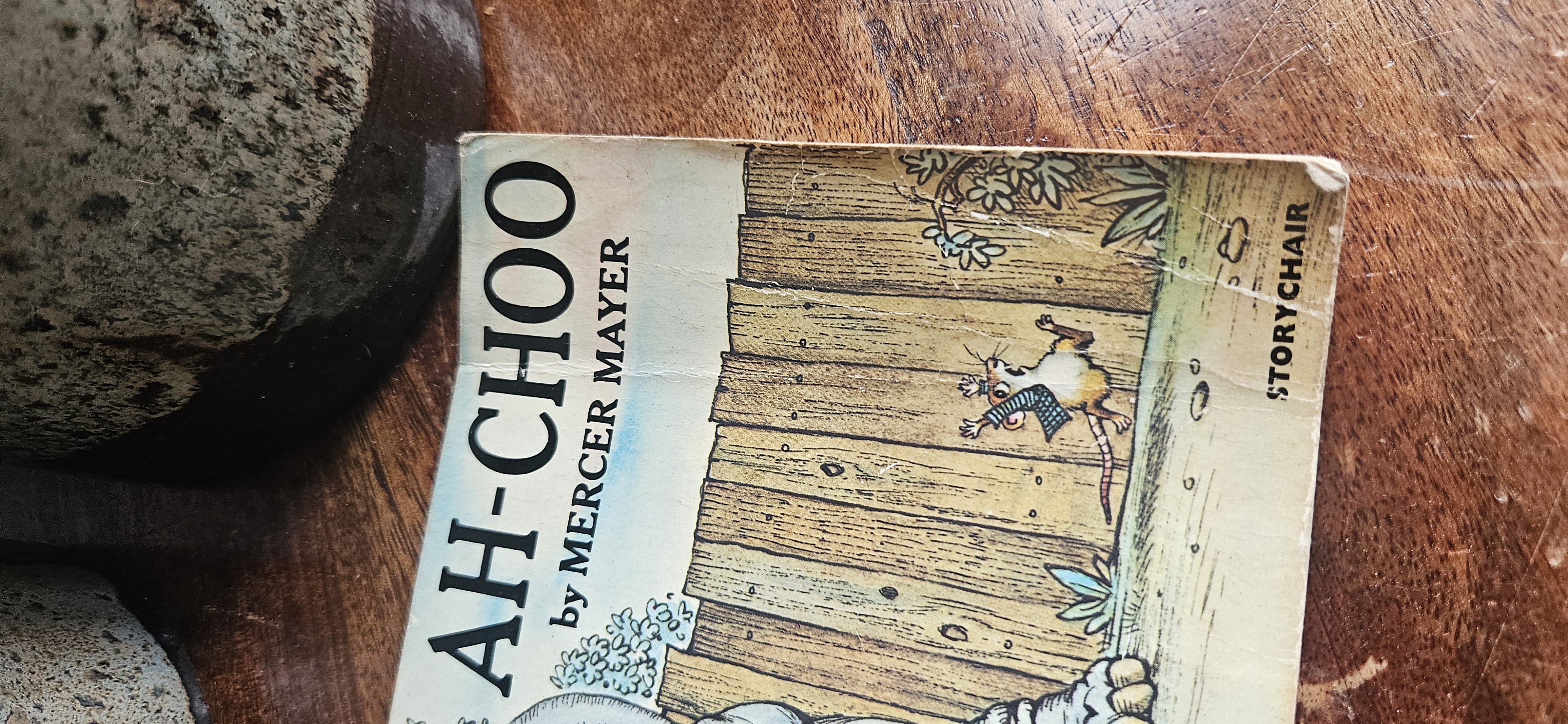 Ah-Choo by Mercura Mayer Picture Book 1980