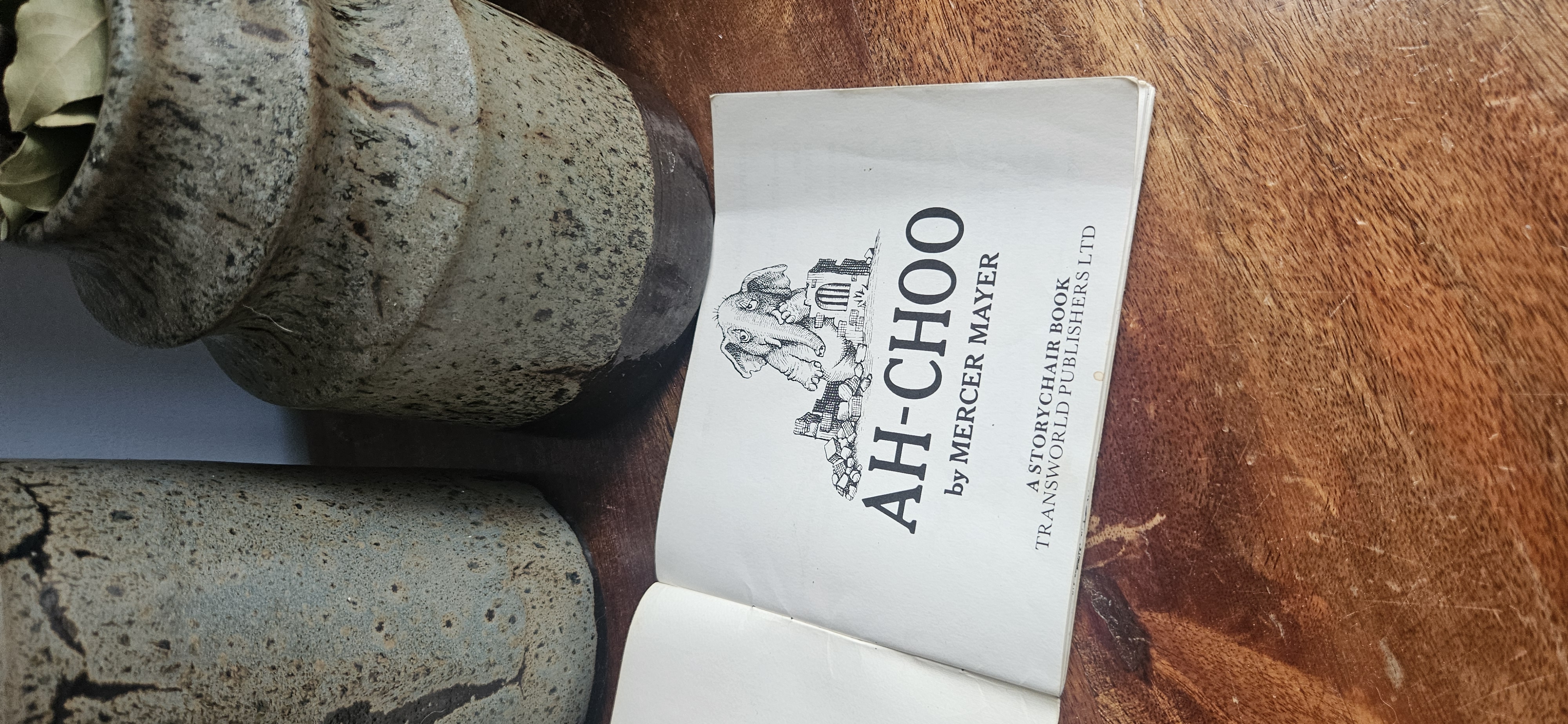 Ah-Choo by Mercura Mayer Picture Book 1980