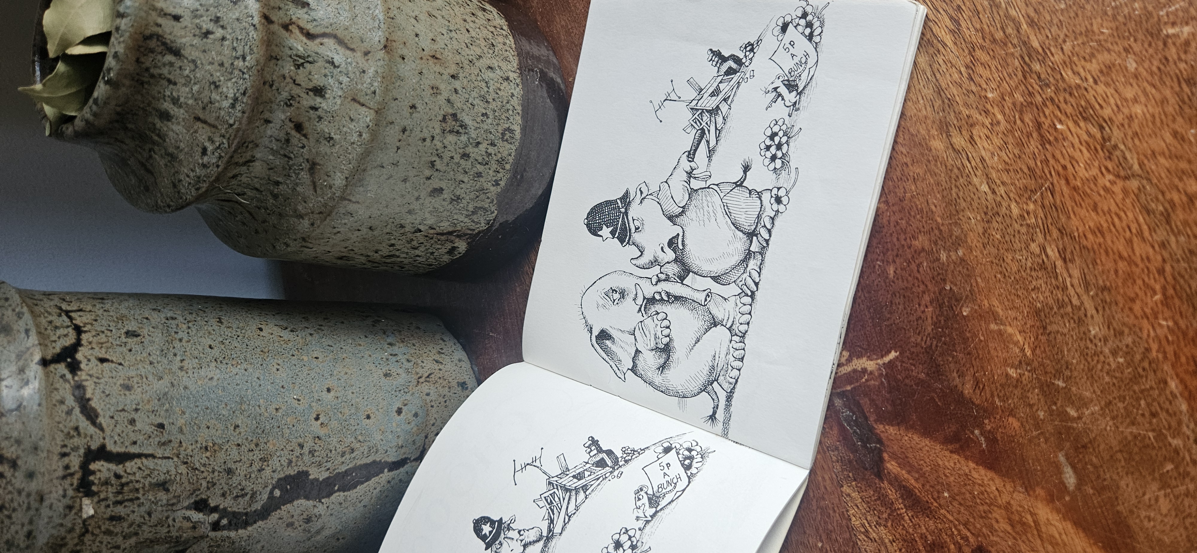 Ah-Choo by Mercura Mayer Picture Book 1980