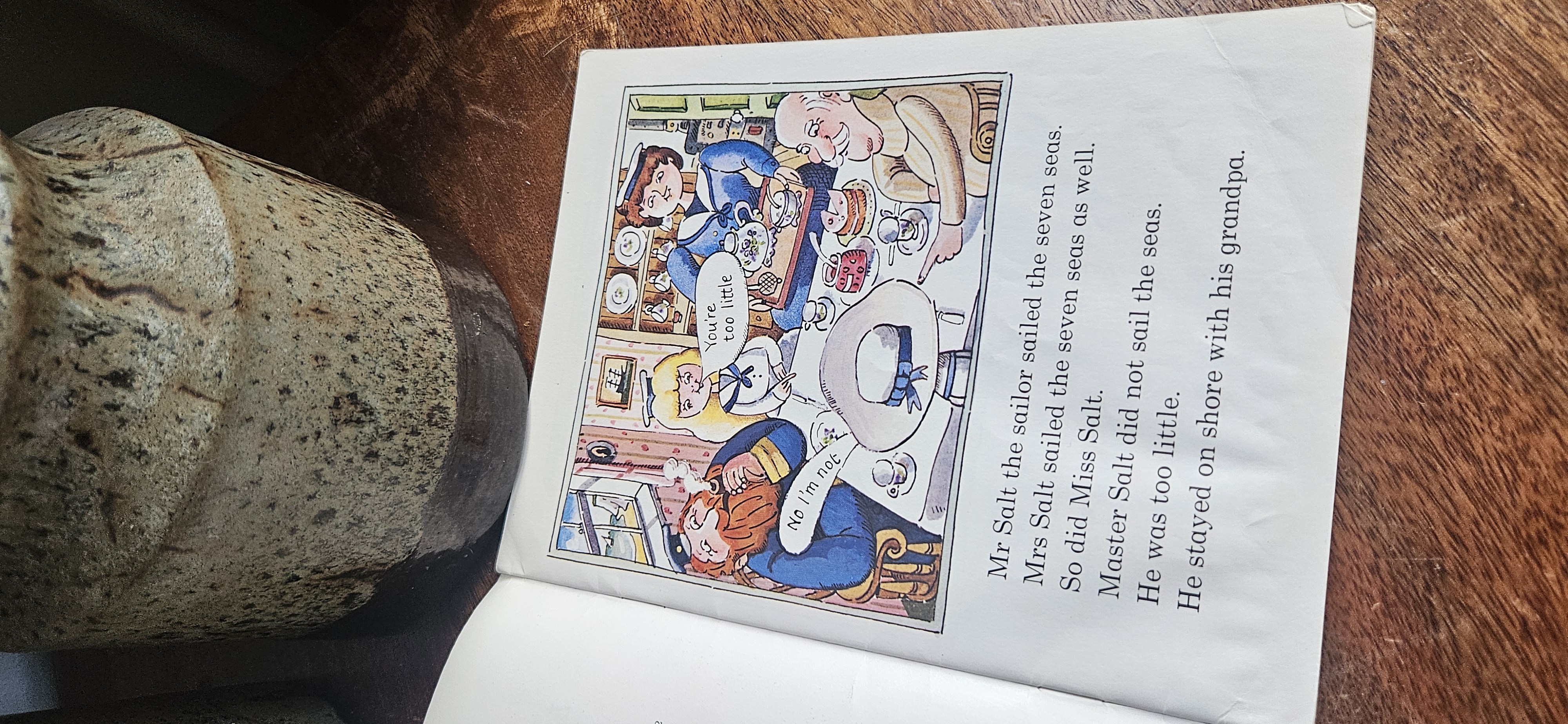 Master Salt the Sailors' Son by Allan Ahlberg (Paperback, 1980)