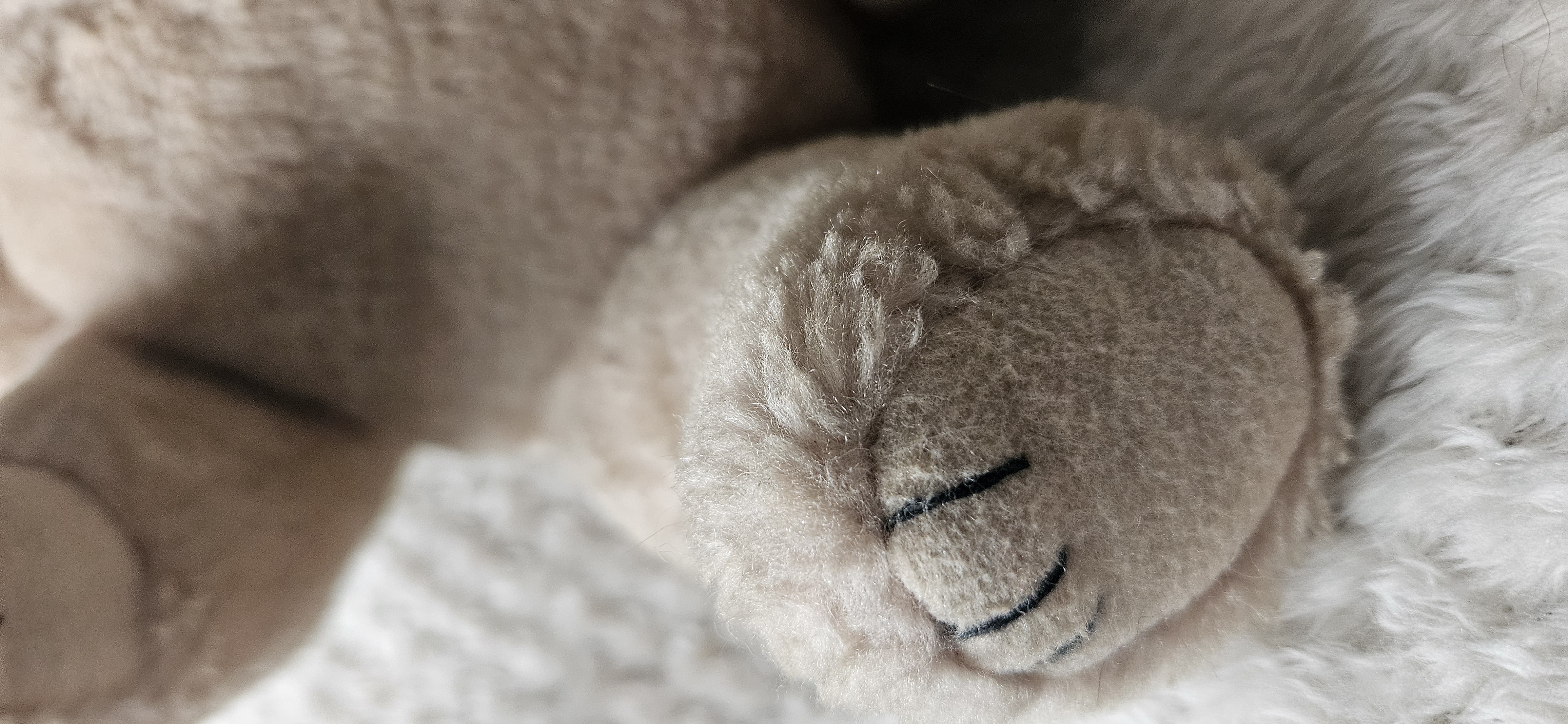 Vintage Sinda bear with moving joints