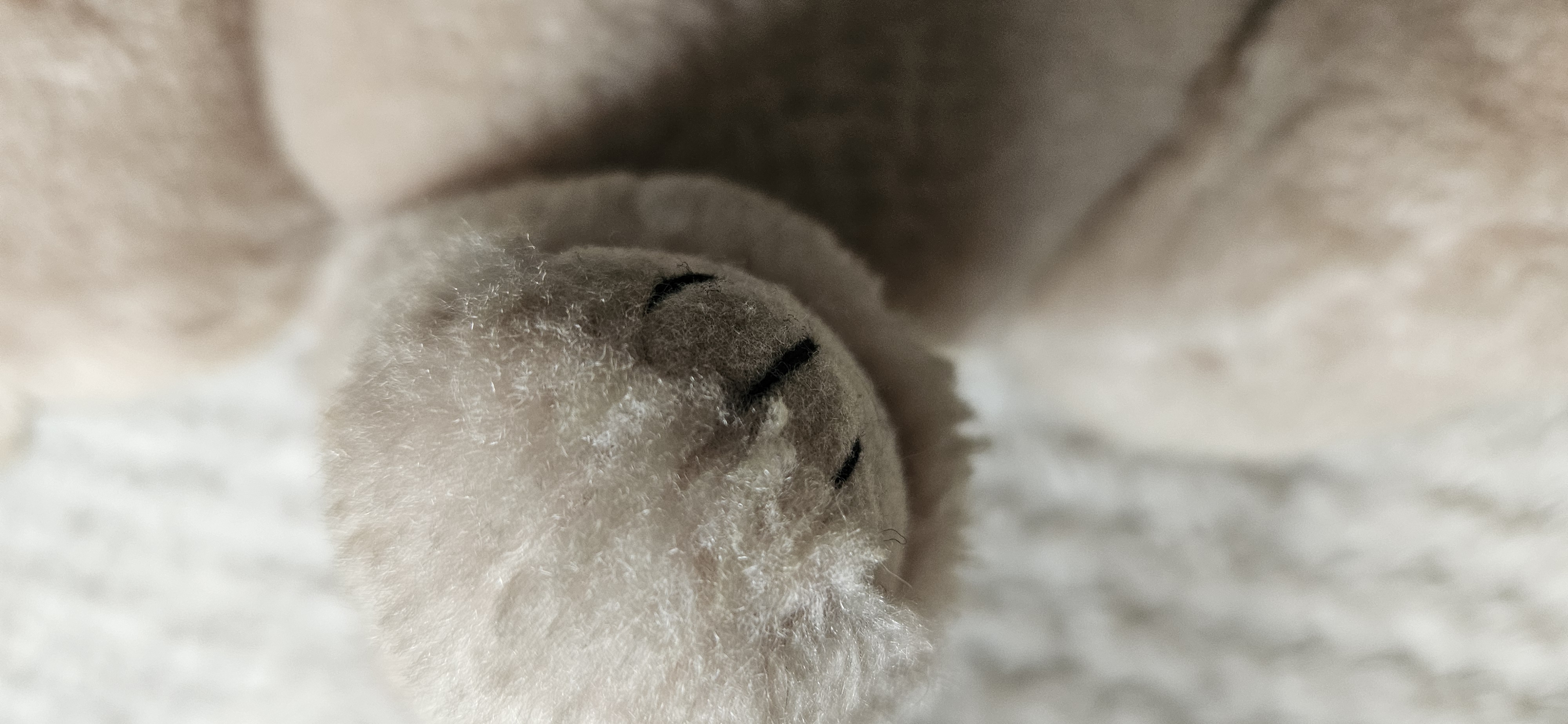 Vintage Sinda bear with moving joints