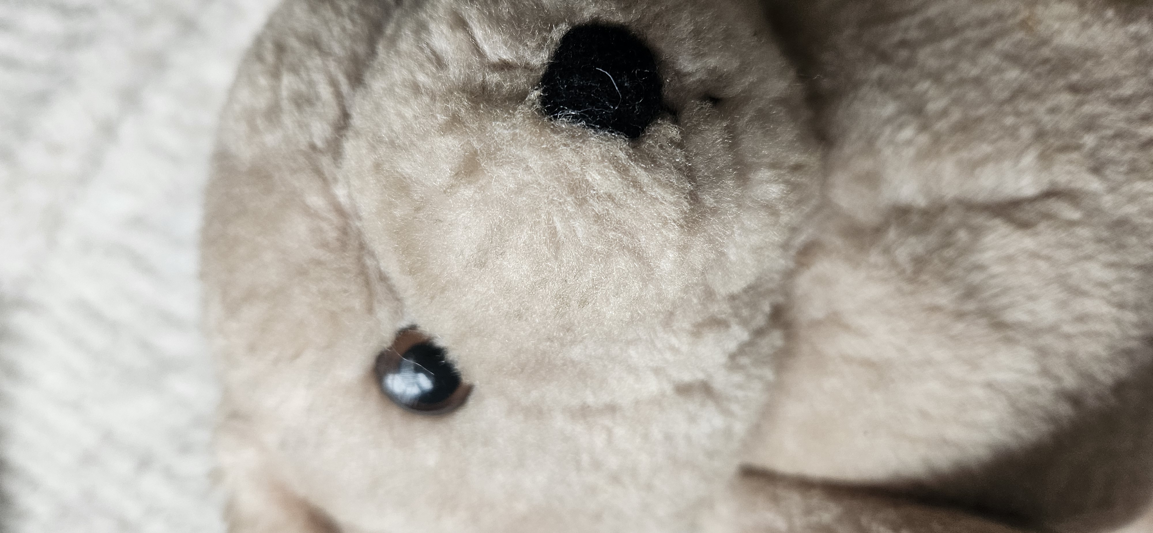 Vintage Sinda bear with moving joints