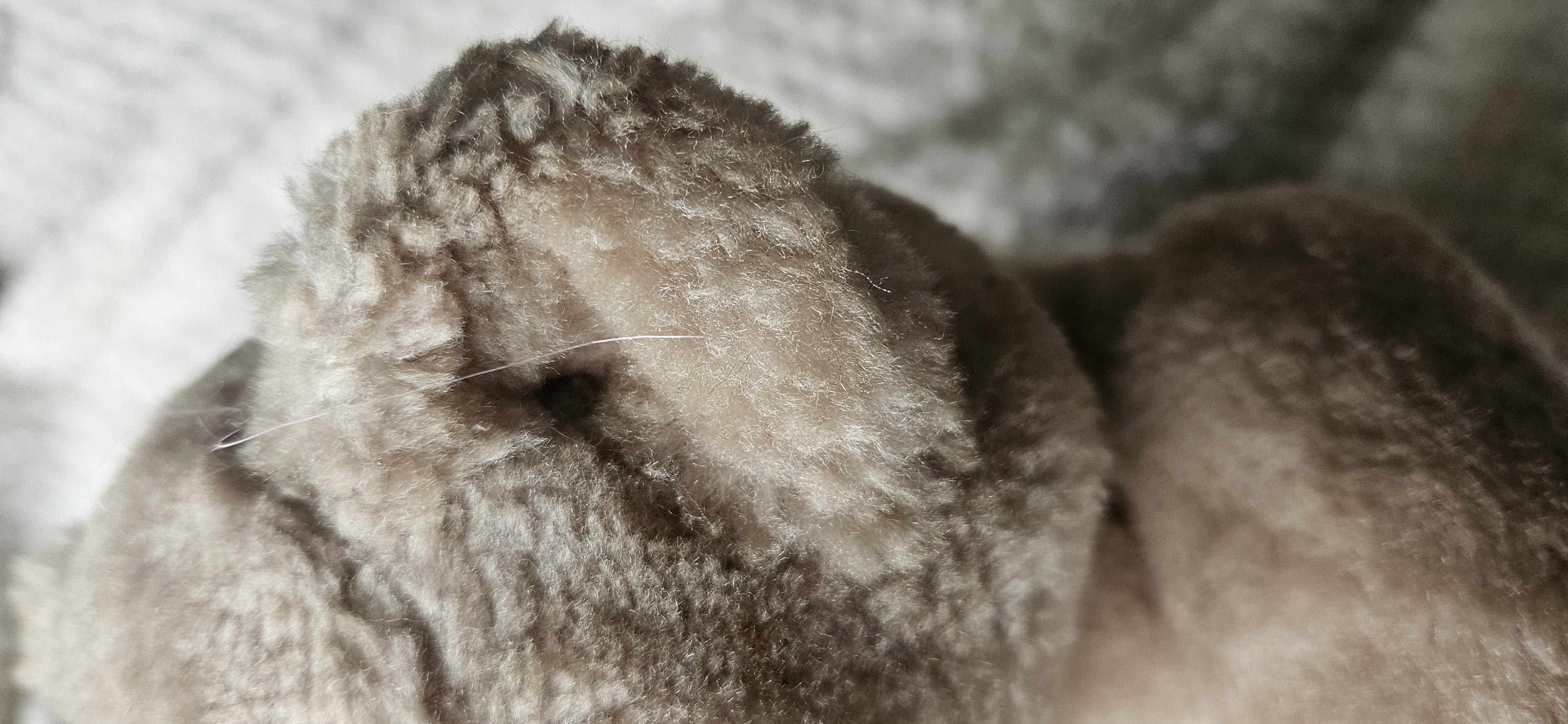 Vintage Sinda bear with moving joints