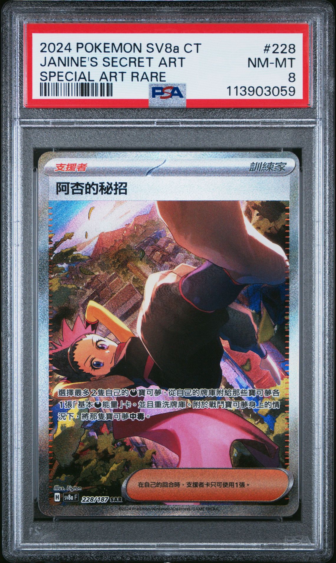 Janine's Secret Art 228/187 Terastal Festival Chinese Secret Art Rare