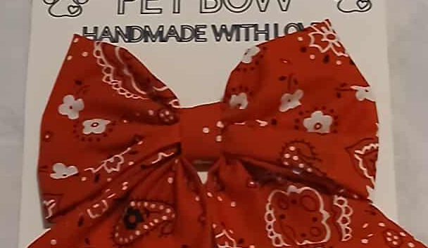 Red Dog Bow