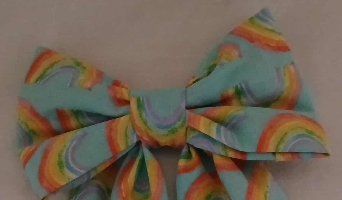 Rainbow Dog Bow