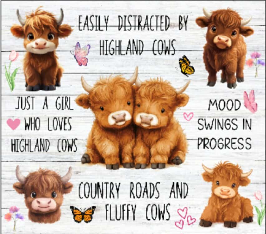Easily Distracted Highland Cows