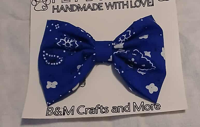 Blue Dog Bow