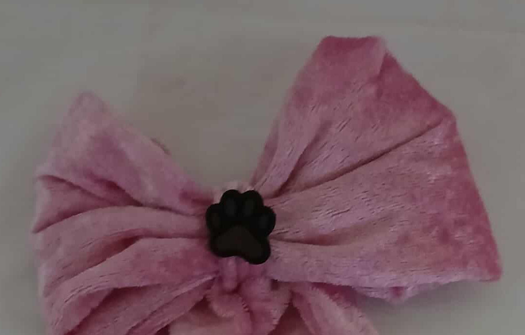 Dog Bow
