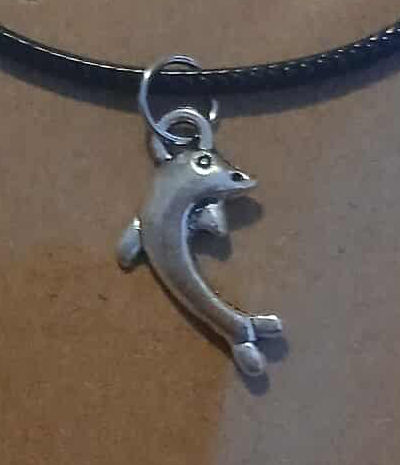 Dolphin Necklace