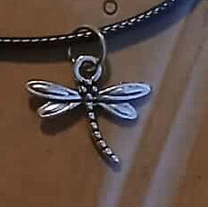 Dragon Fly