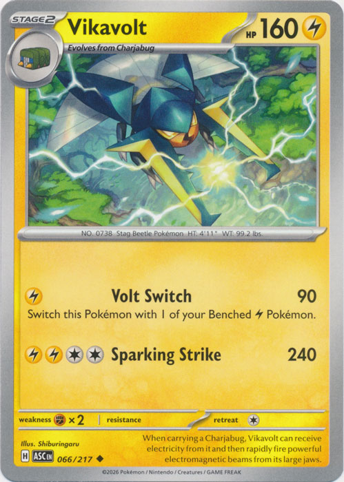 ASC 066/217 Vikavolt