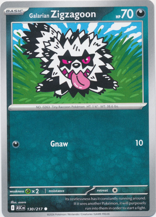 ASC 130/217 Galarian Zigzagoon