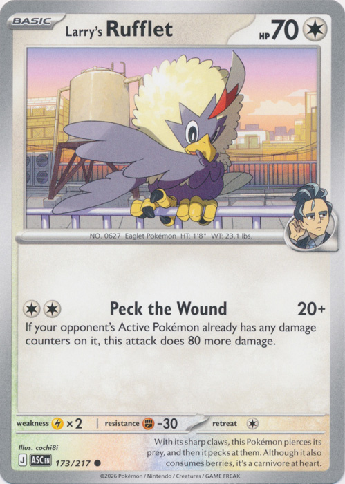 ASC 173/217 Larry's Rufflet