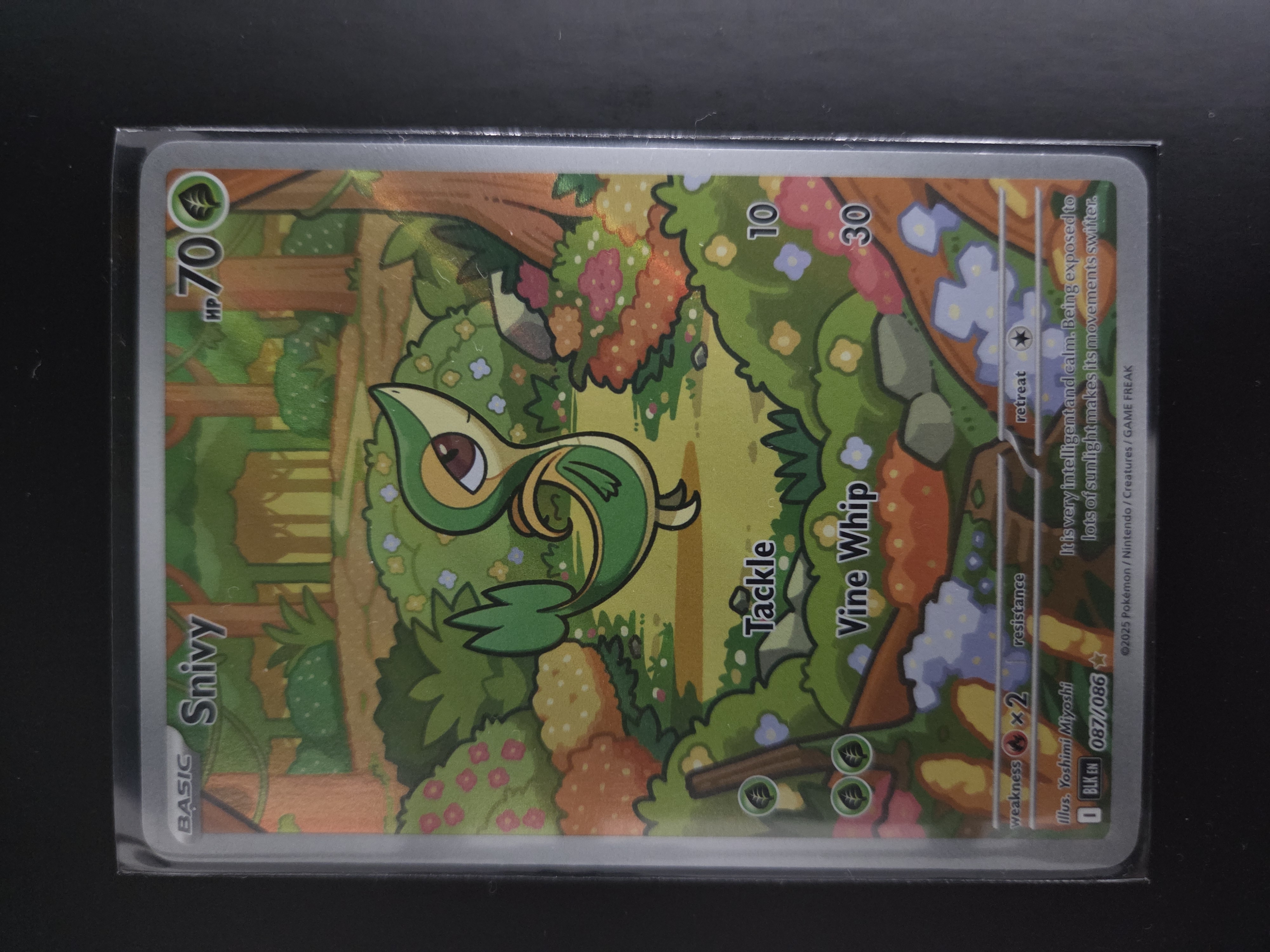 BLK 087/086 Snivy