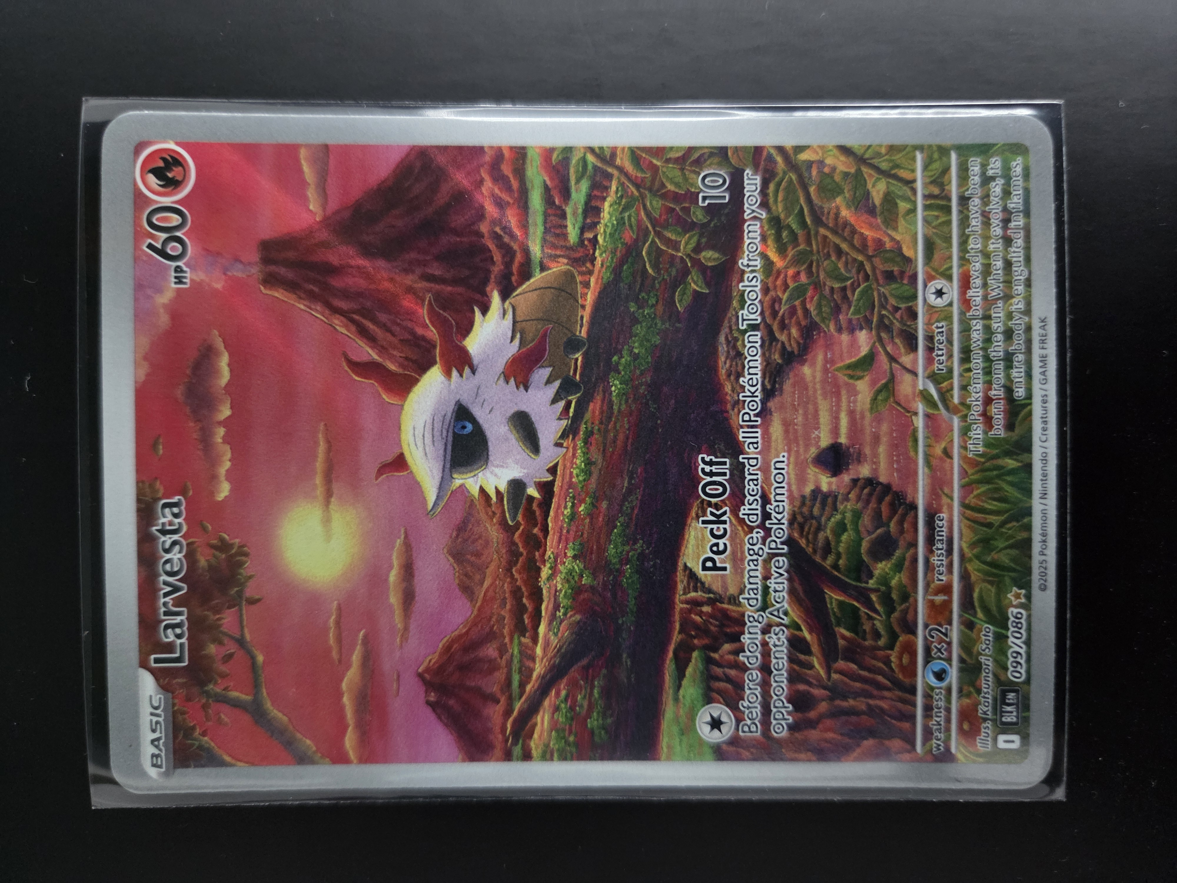 BLK 099/086 Larvesta