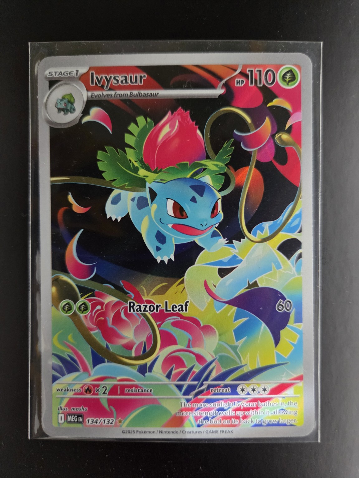 MEG 134/132 Ivysaur