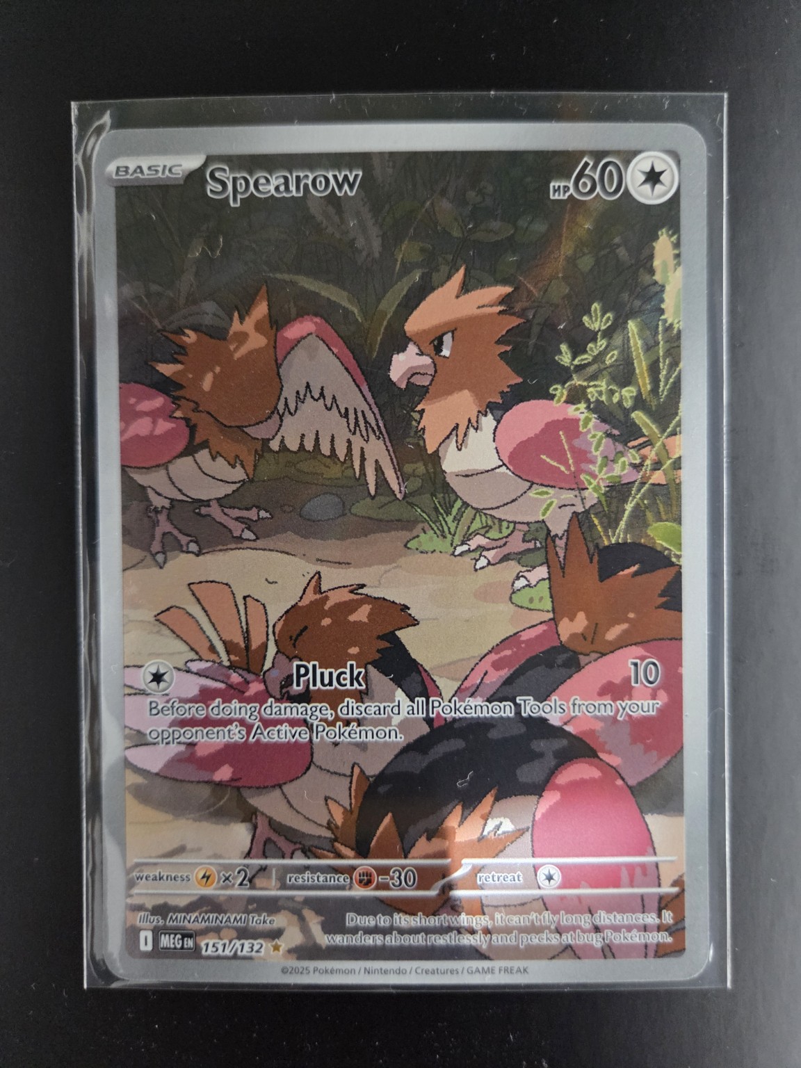 MEG 151/132 Spearow