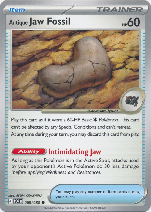 POR 068/088 Antique Jaw Fossil