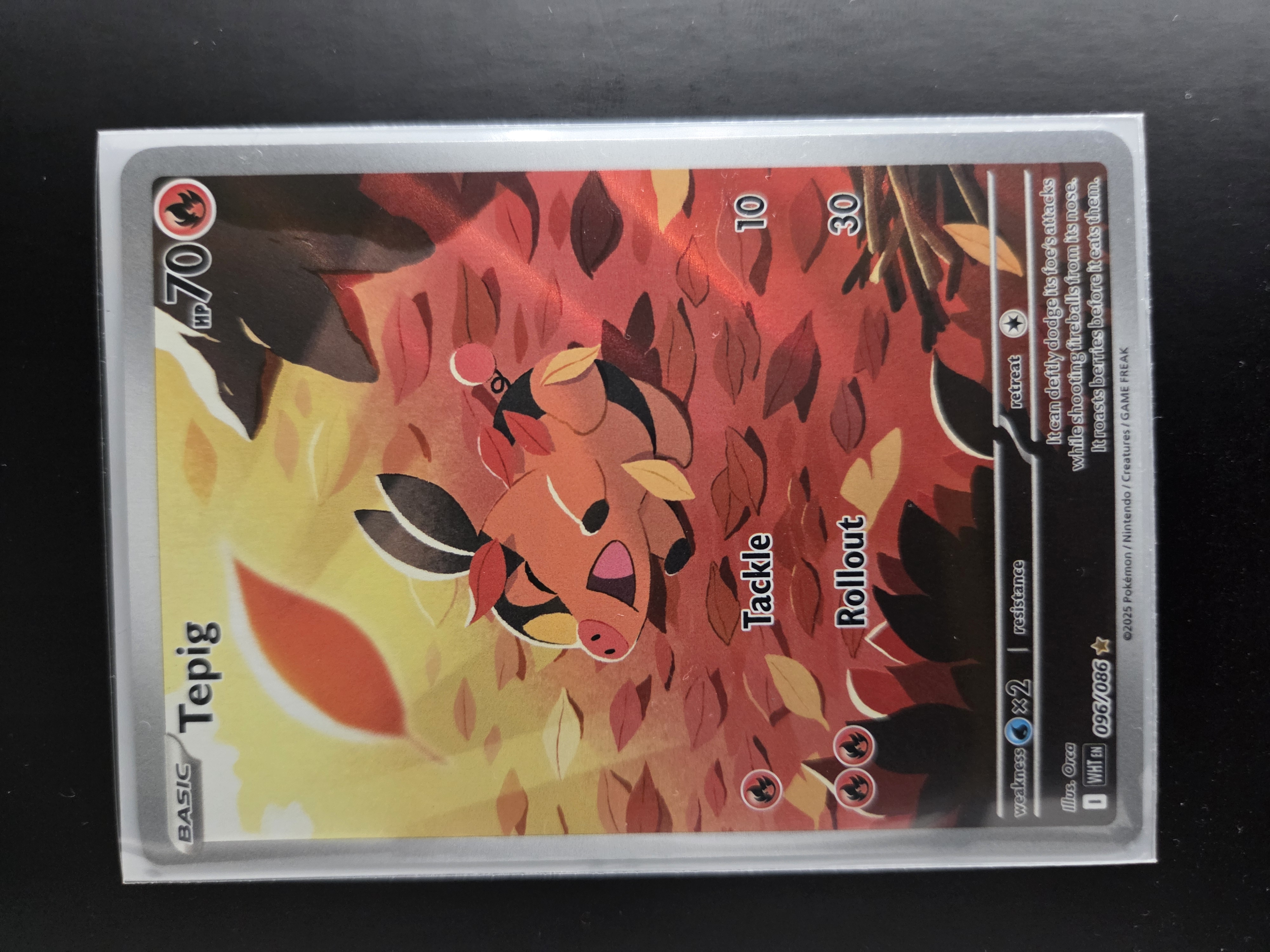 WHT 096/086 Tepig