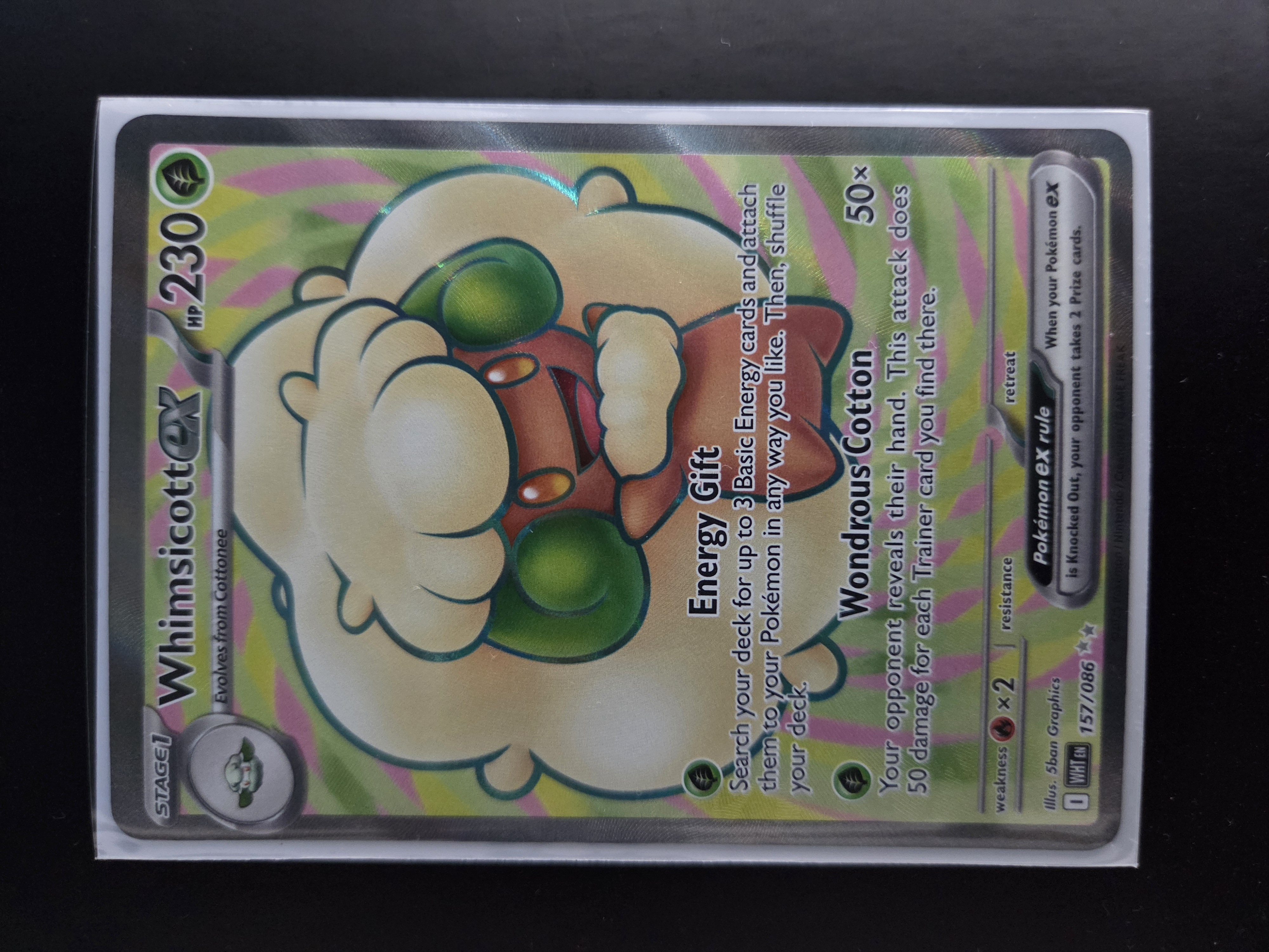 WHT 157/086 Whimsicott ex