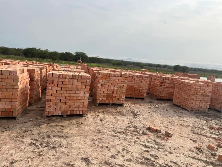 CLAY BRICKS