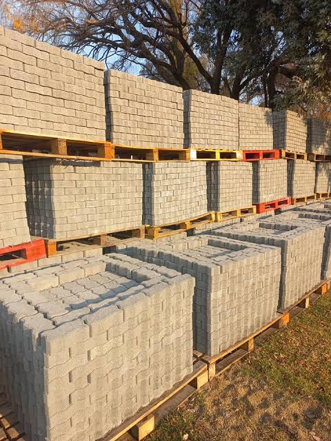 INTERLOCKING PAVING BRICKS