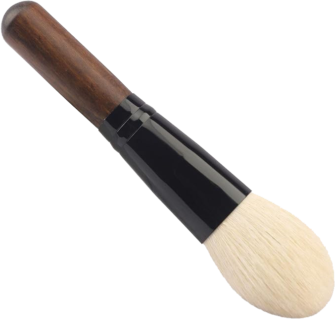 Negative & Slide Cleaning  Brush