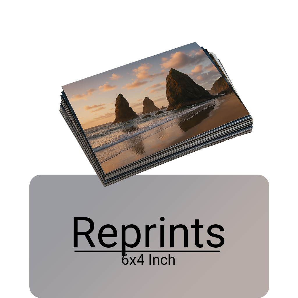 6x4 Reprints