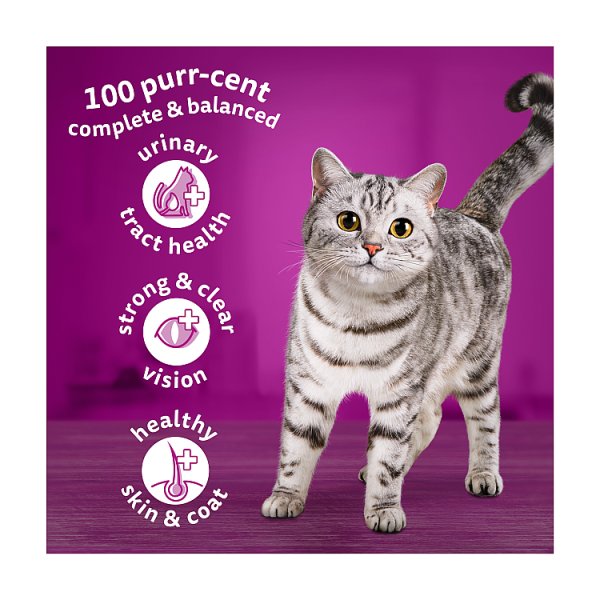 Whiskas 1+ Tuna Adult Dry Cat Food 300g