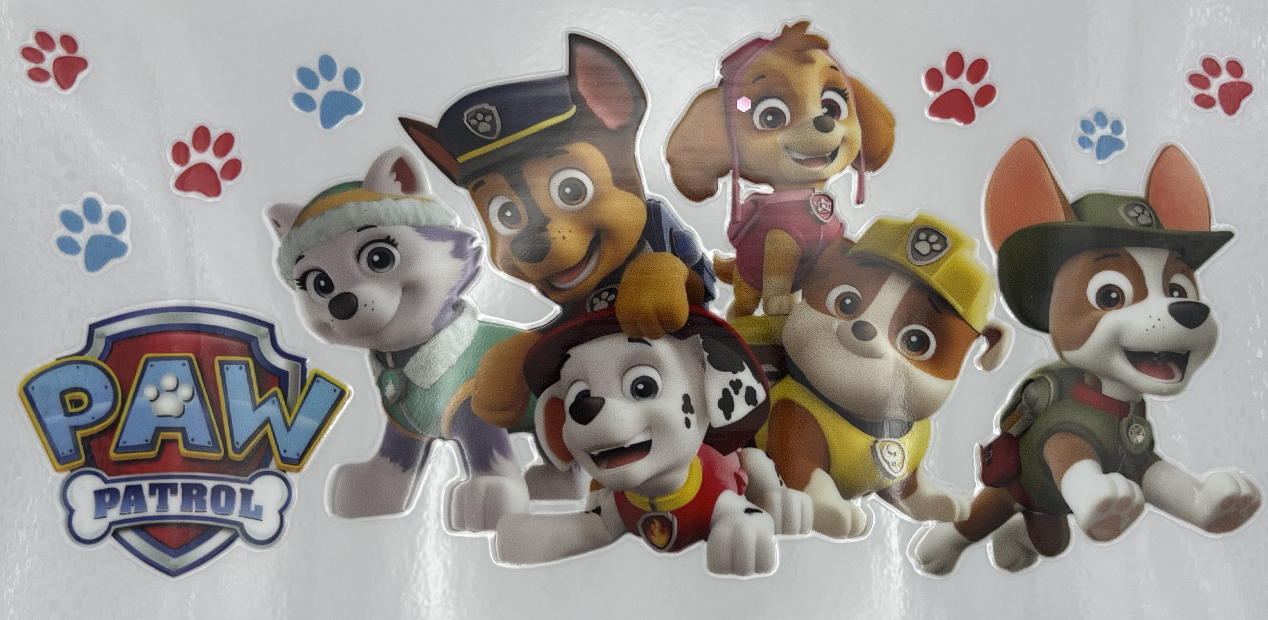 PAW PATROL WRAP 16oz