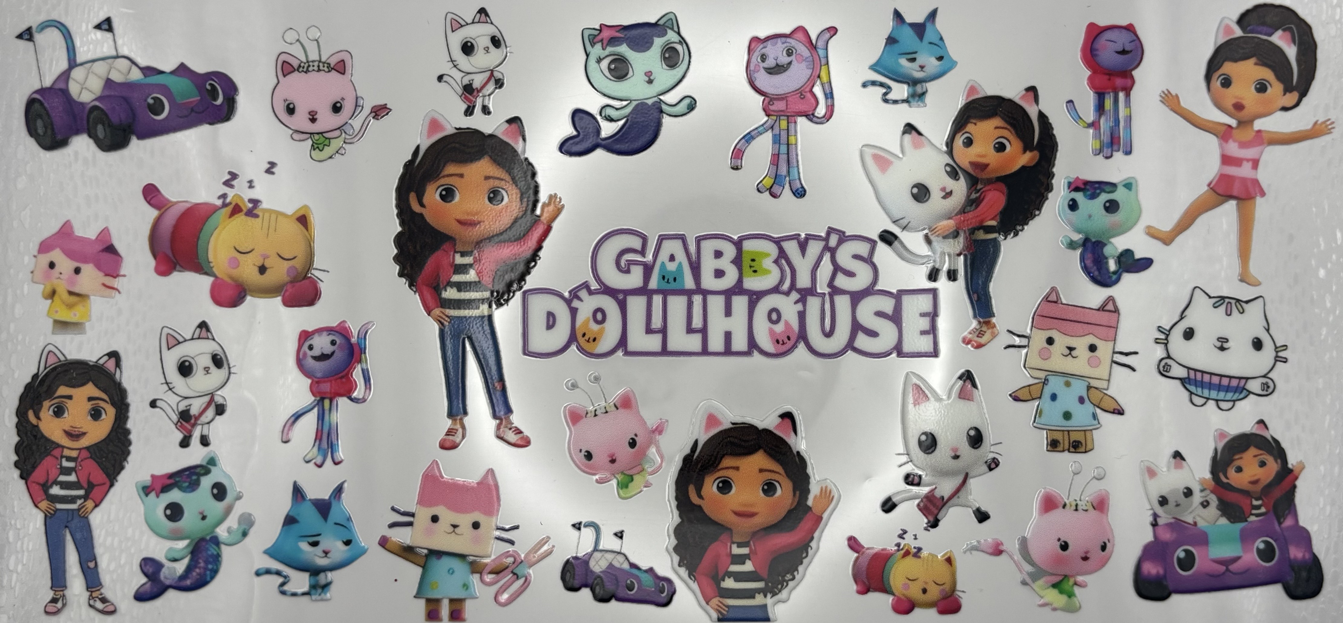 GABBY'S DOLLHOUSE WRAP 16oz