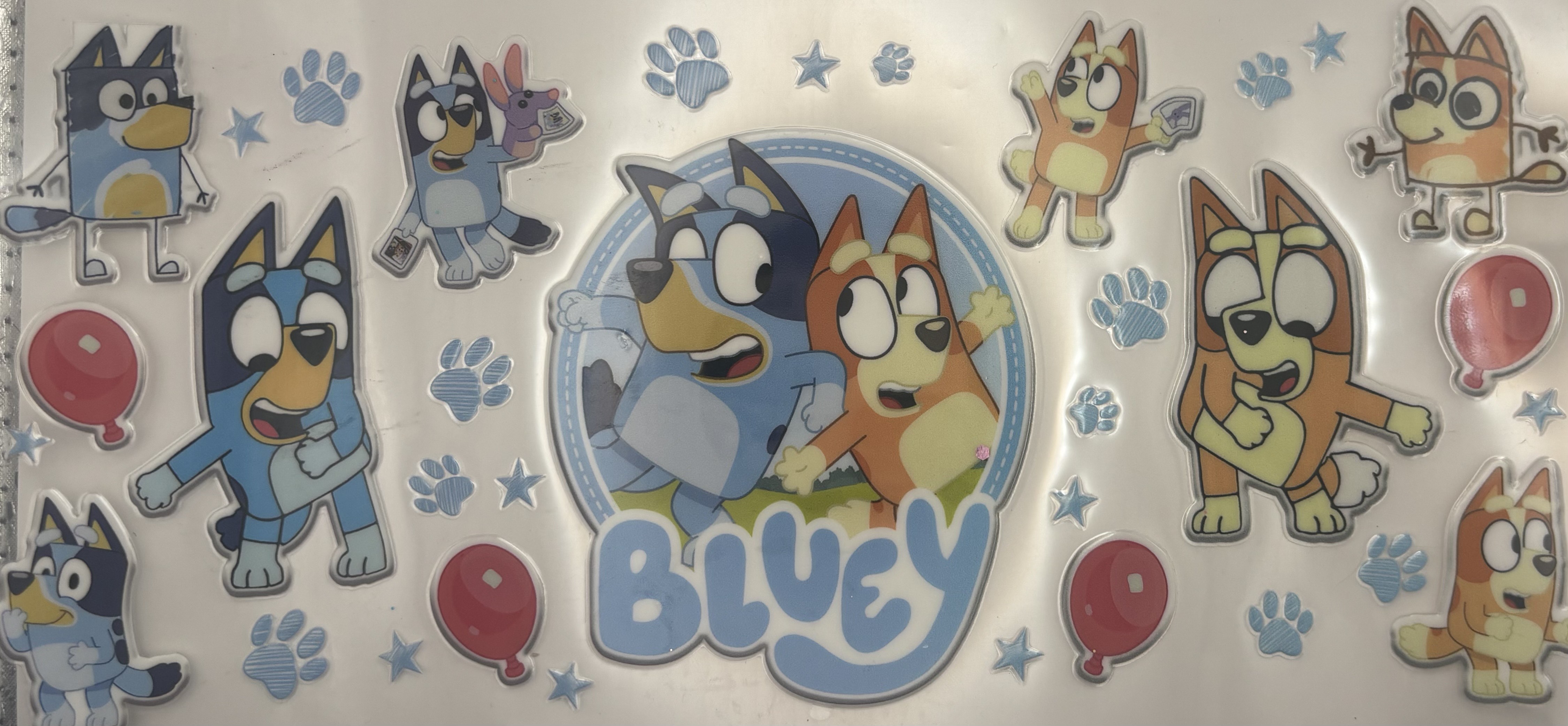 BLUEY & BINGO WRAP 16oz