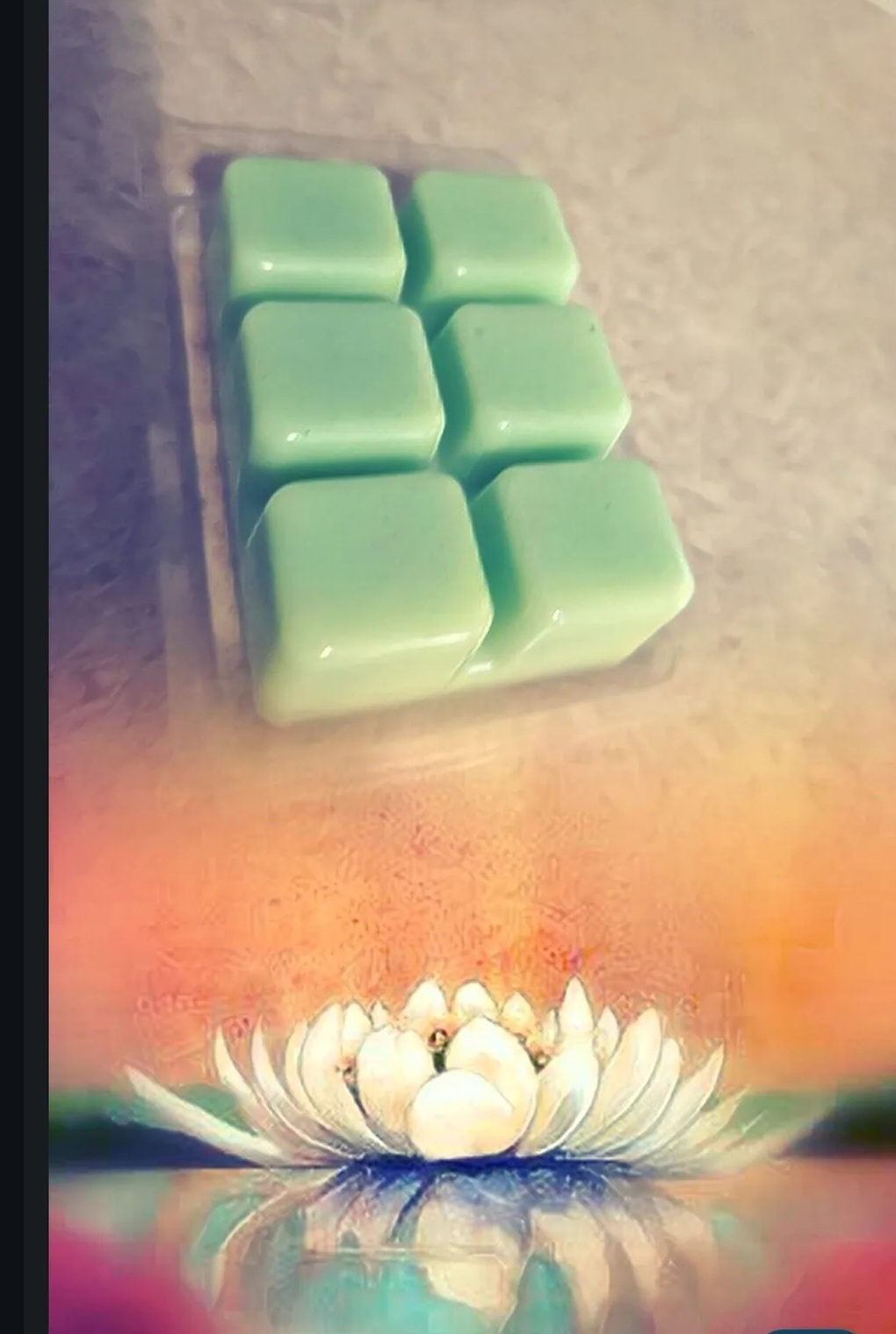 A Frogs kiss luxury wax melt