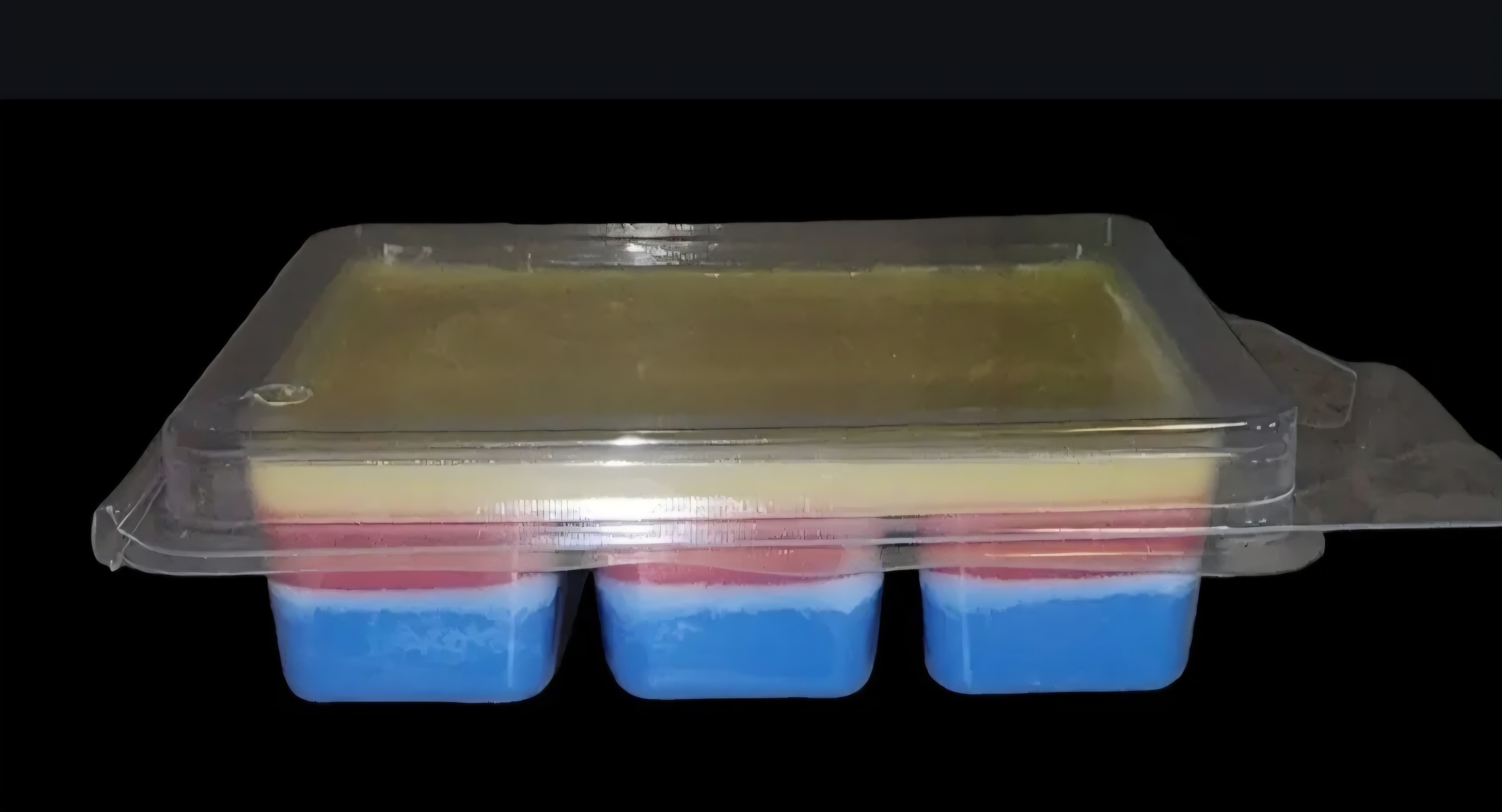 Last bite wax melts