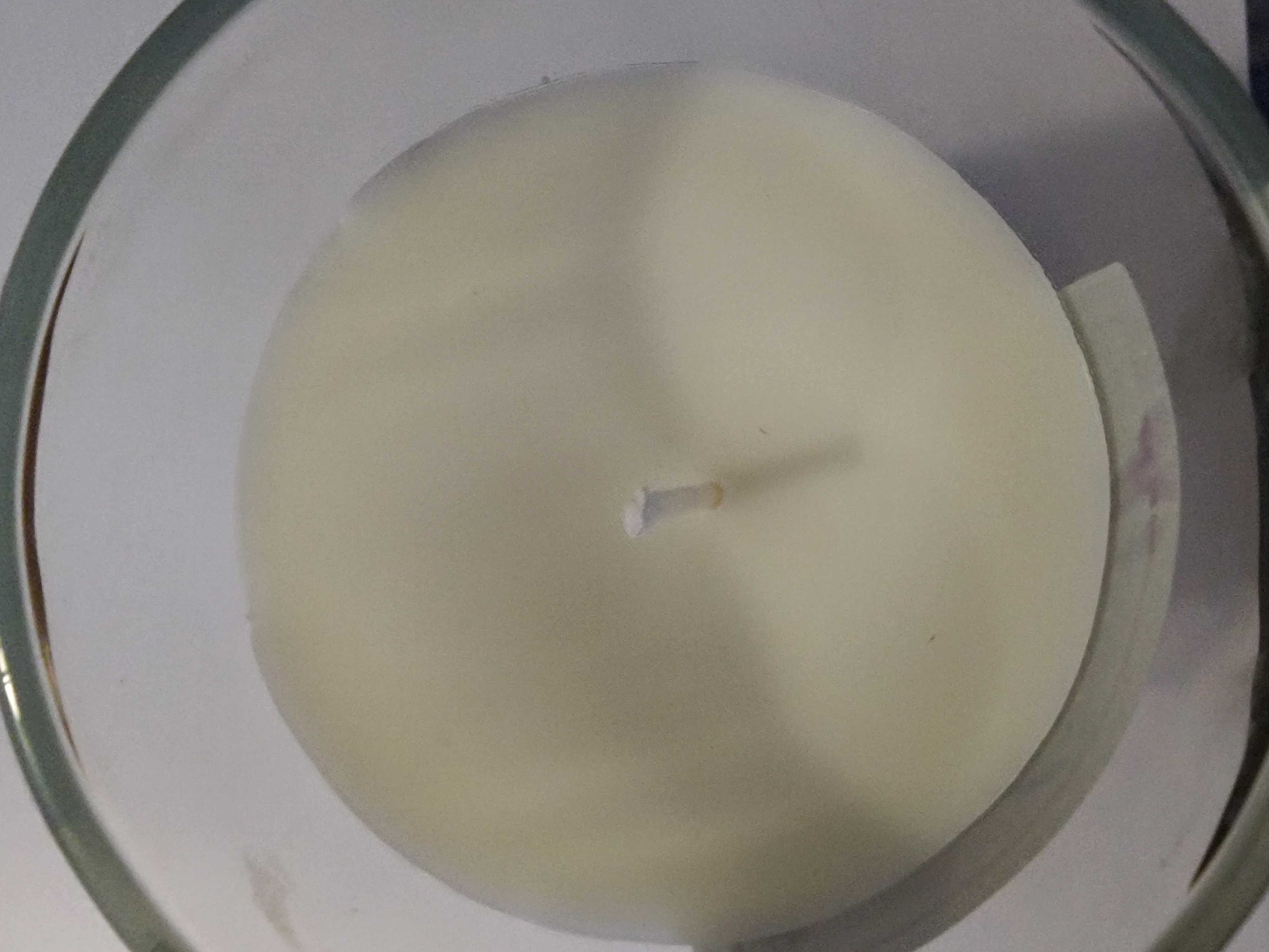 Citronella luxury outdoor candle