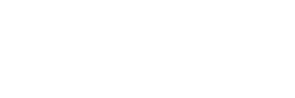 Leenoz Logo 2027