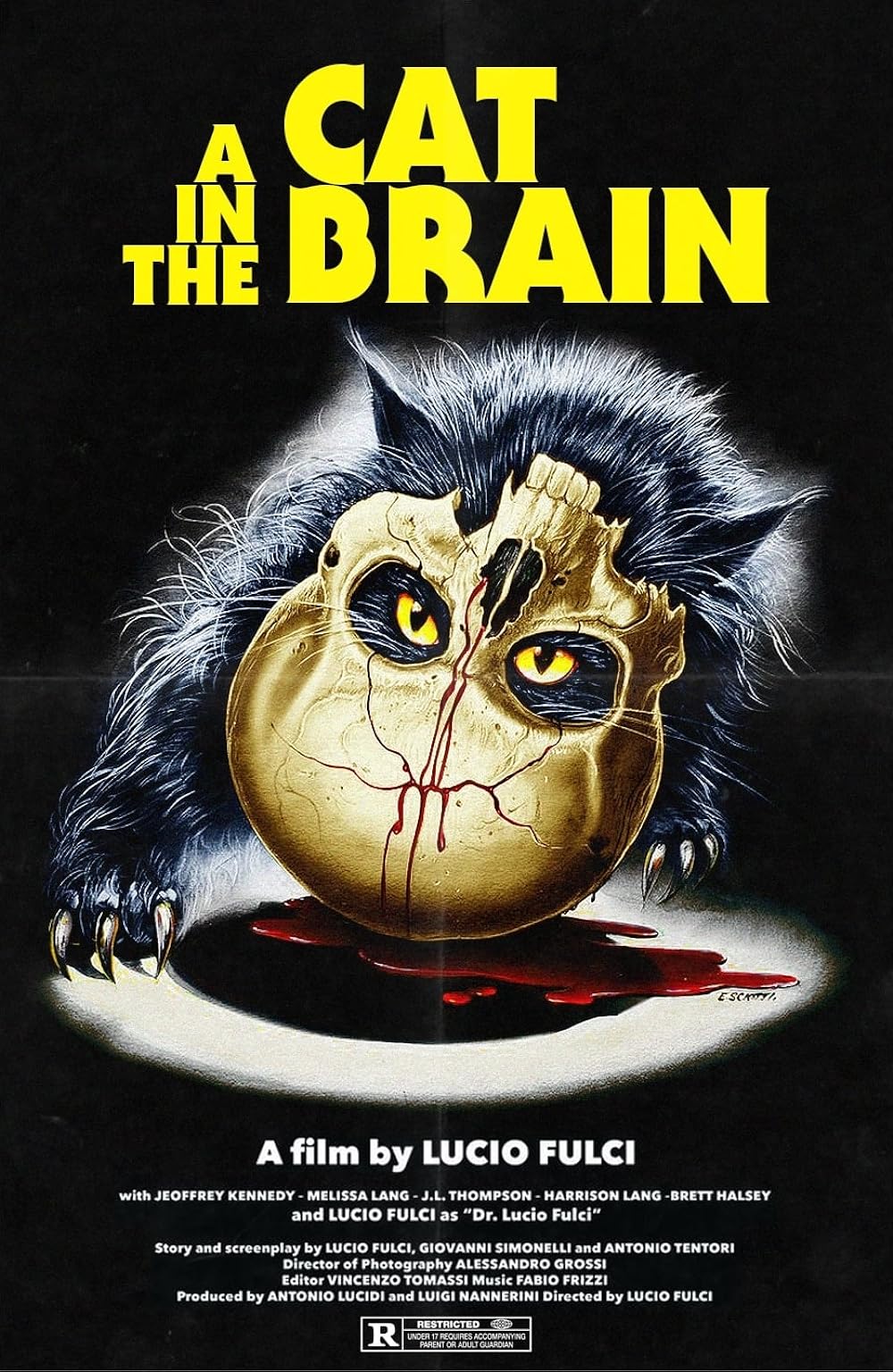 A Cat In The Brain (1990)