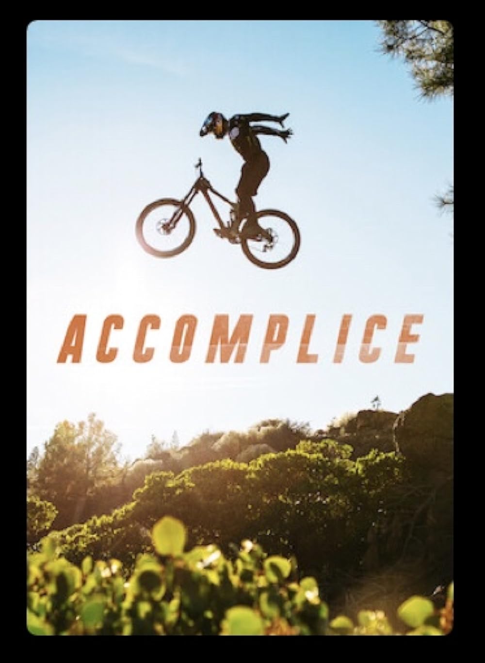 Accomplice (2020)