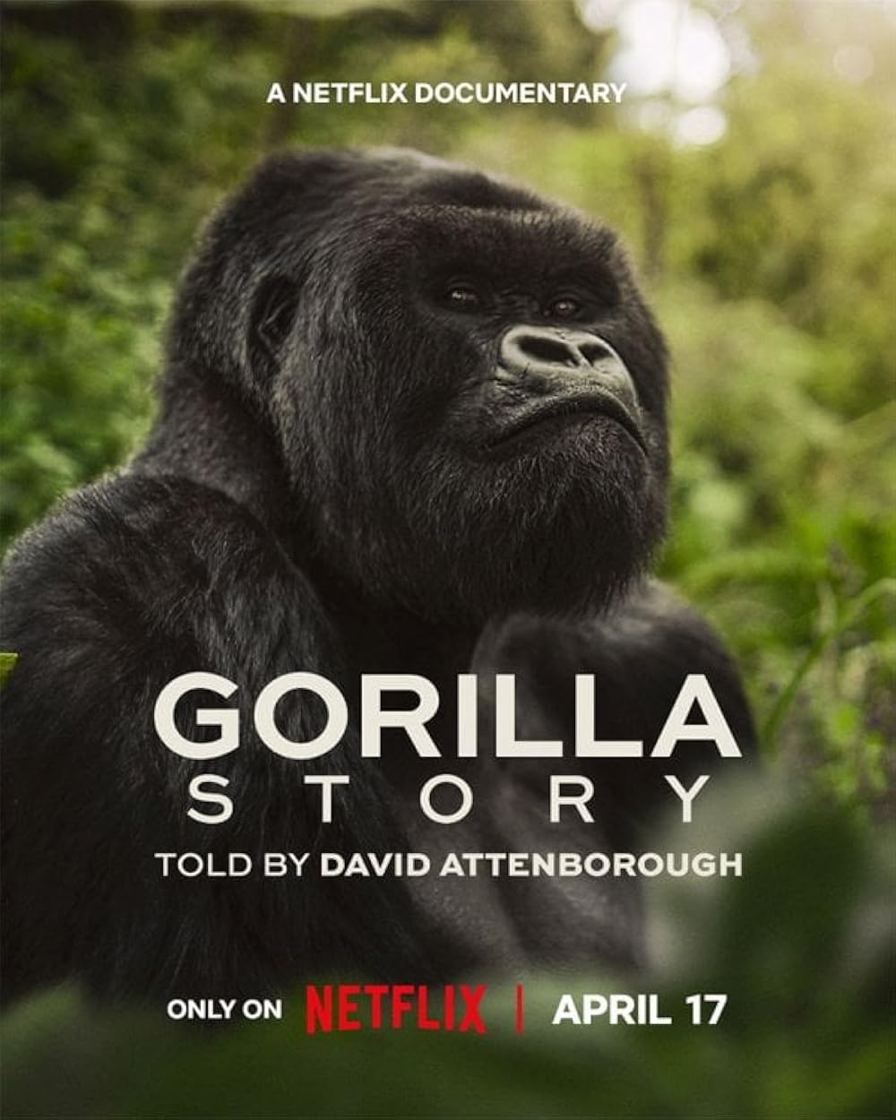 A Gorilla Story - Told By David Attenborough (2026)