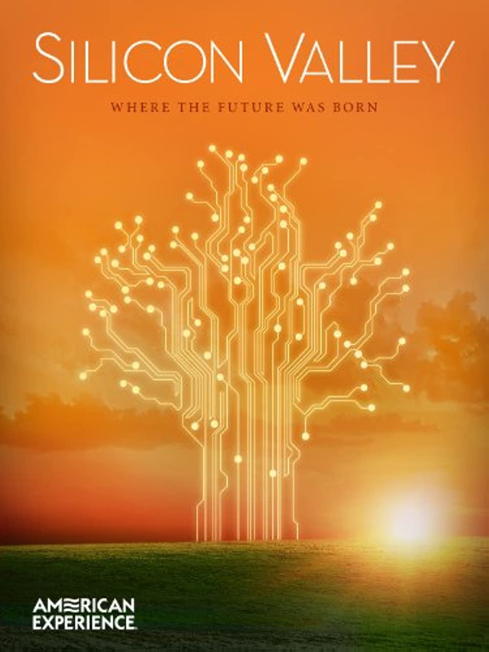 American Experience - Silicon Valley (2013)