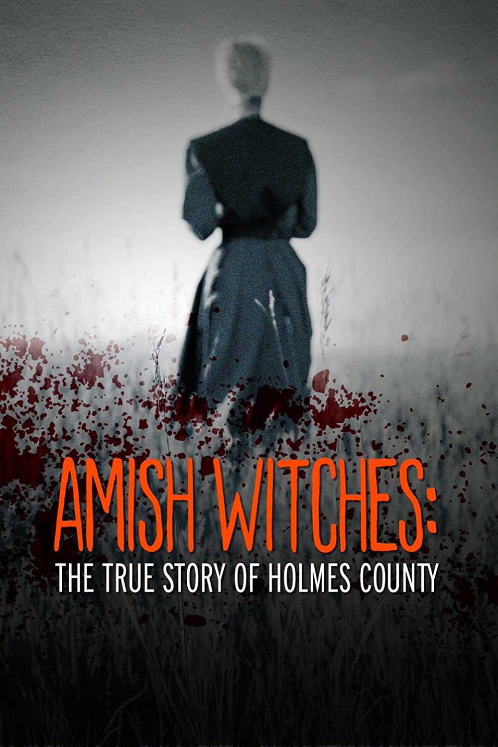 Amish Witches - The True Story of Holmes County (2016)