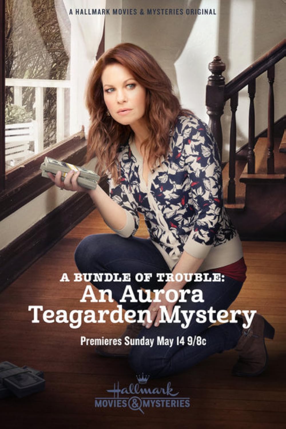 An Aurora Teagarden Mystery - A Bundle Of Trouble (2017)