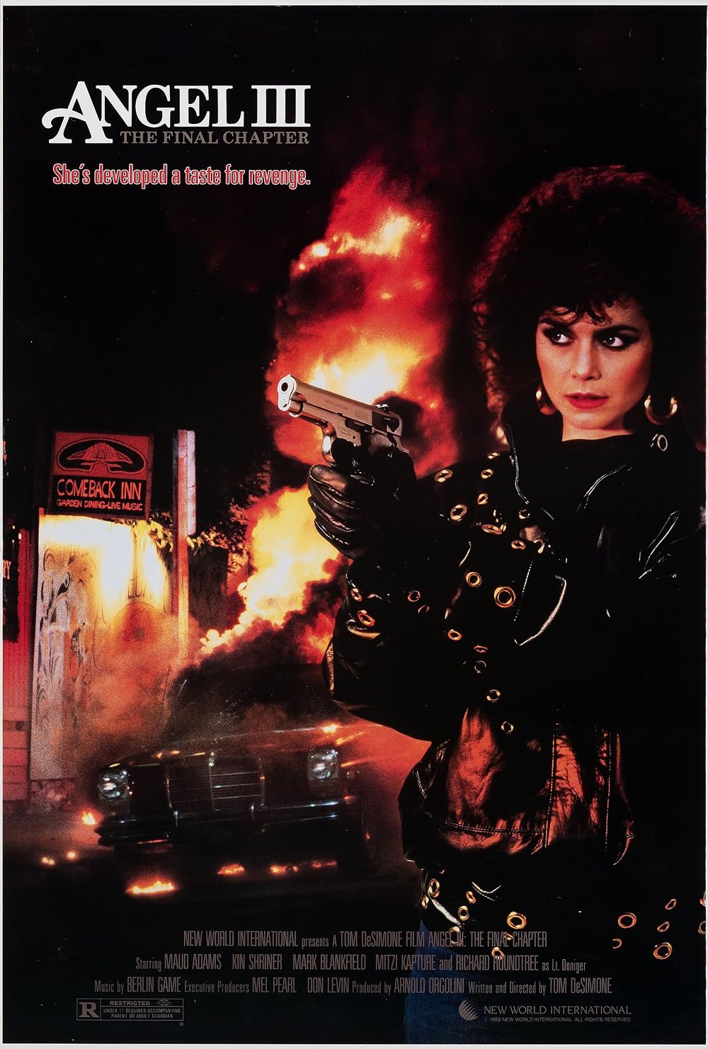 Angel III - The Final Chapter (1988)