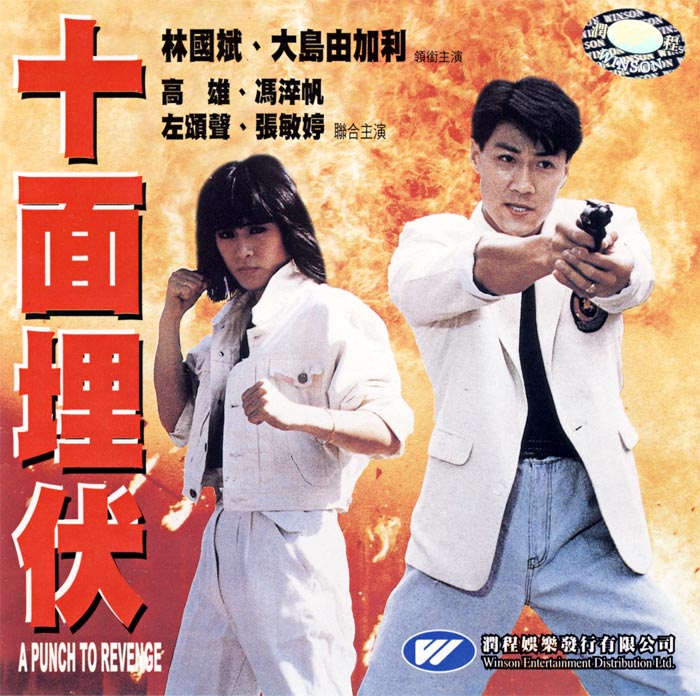 A Punch To Revenge (1989) ENGLISH DUBBED