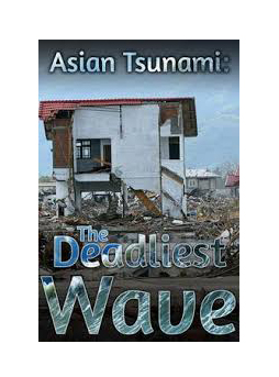 Asian Tsunami - The Deadliest Wave (2014)